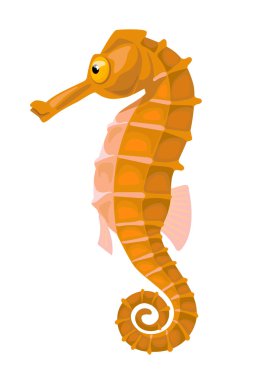 çizgi film yalıtılmış turuncu çizgi roman deniz atı