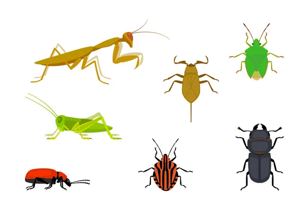 Avrupa böcekler kümesi