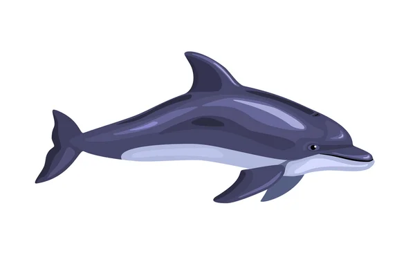 Απομονωμένες δελφίνι κινουμένων σχεδίων — Διανυσματικό Αρχείο