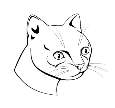 Kedi başı, siyah beyaz çizgi vektör çizim çizim,