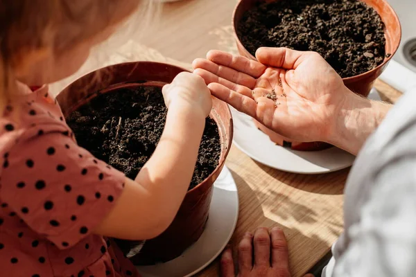 little girl sows plants in a flower pot at home. Agriculture and horticulture.