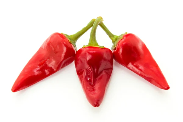 Red hot chili pepper — Stock Photo, Image