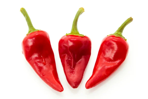 Red hot chili pepper — Stock Photo, Image