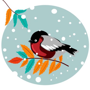 Bullfinch on branch - stock illustration clipart