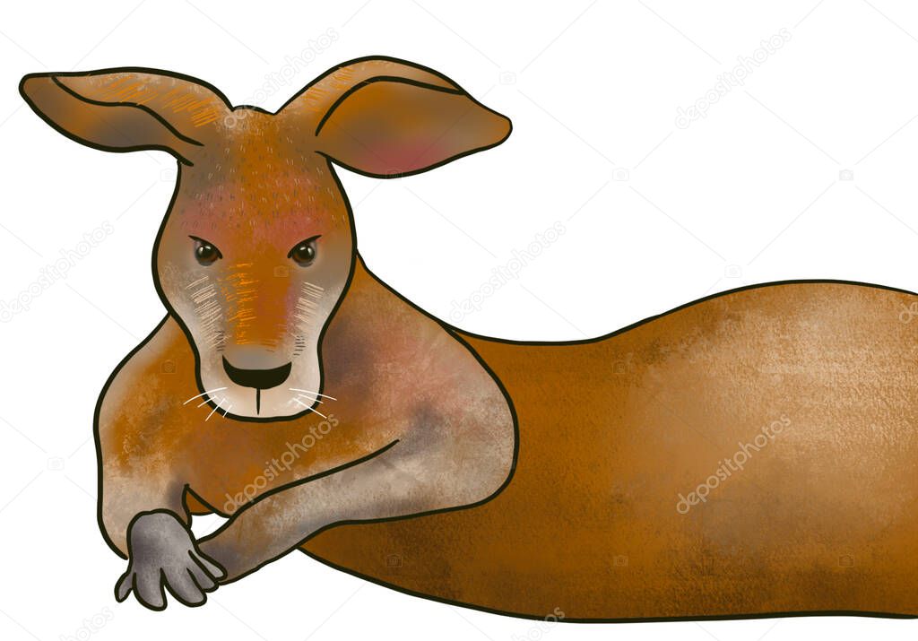 Kangaroo drawing - stock illustration.