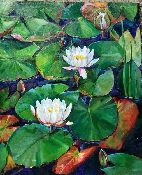 Hand drawn picture of water lilies in a pond - stock illustration