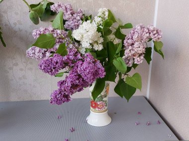 Still life, a bouquet of lilacs in a vase clipart