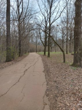 Bahar Ormanı - Stok çizimi