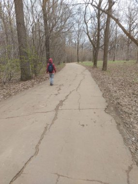 Bahar Ormanı - Stok çizimi