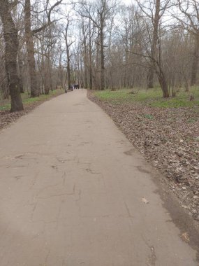 Bahar Ormanı - Stok çizimi