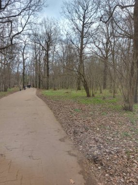 Bahar Ormanı - Stok çizimi