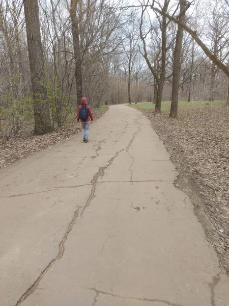 Bahar Ormanı - Stok çizimi