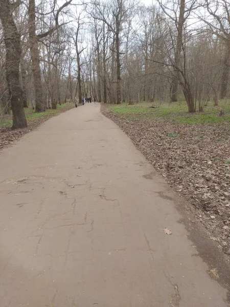 Bahar Ormanı - Stok çizimi