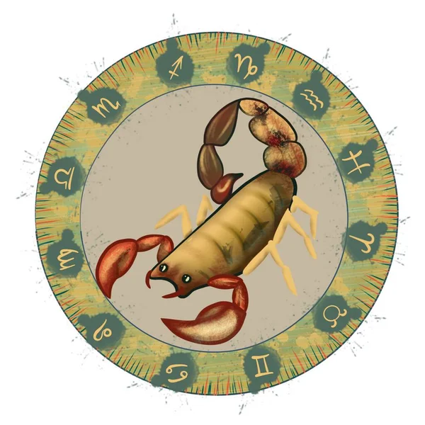 Znak Zodiaku Skorpiona Ilustracja Sztuki — Zdjęcie stockowe