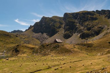 Arka planda dağlarla birlikte Ayous sığınağının yanındaki çayırlara saçılmış koyunlar otluyor.