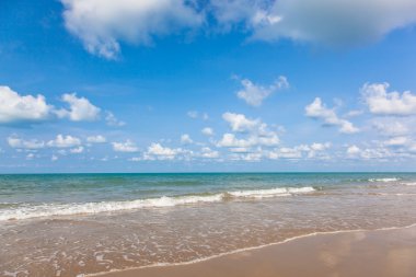 plaj ve tropik deniz