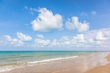 plaj ve tropik deniz