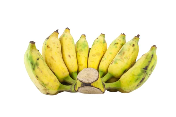 En kultiverad banan — Stockfoto