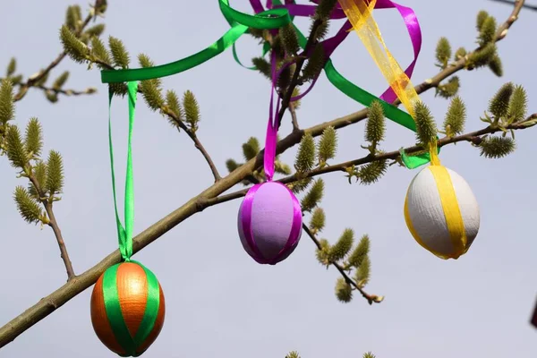Easter Eggs Willow — Stock Photo, Image