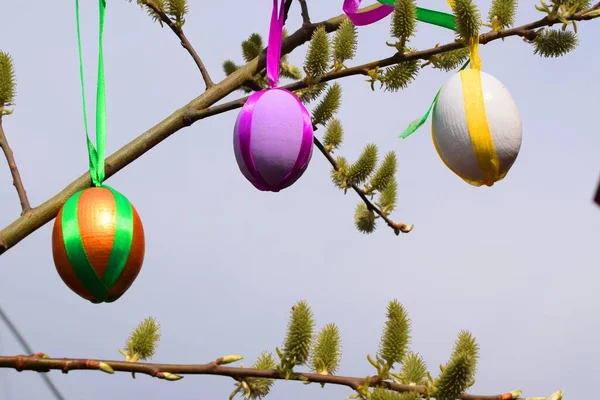 Easter Eggs Willow — Stock Photo, Image