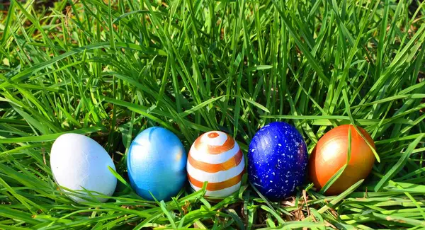 Huevos Pascua Sobre Hierba Verde —  Fotos de Stock