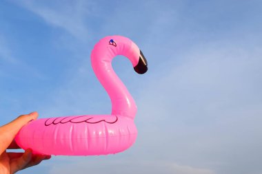 Havuzda şişme flamingo var. Yüzme havuzu rahatlama konsepti