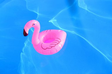 Havuzda şişme flamingo var. Yüzme havuzu rahatlama konsepti