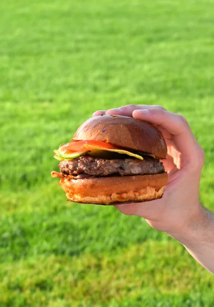 Burger Mit Tomaten Gurken Einem Großen Schnitzel Auf Grünem Gras — Stockfoto
