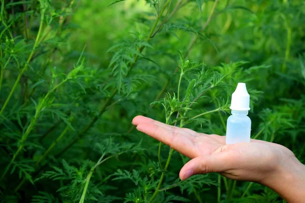 The girl in her hand holds nasal drops from allergies on the background of ragweed. Ambrosia allergy concept.