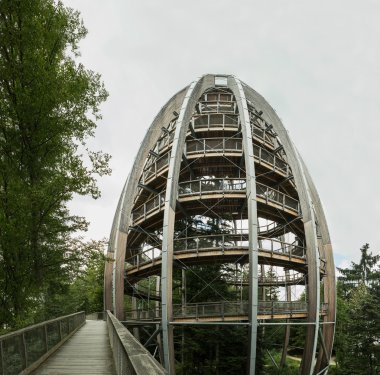 Neuschonau - Milli Park - ağaç üstünde yürümek içine