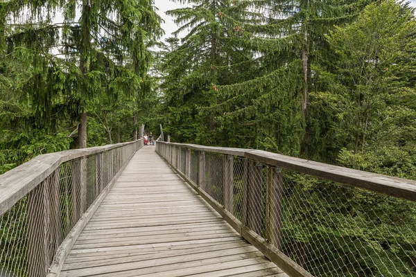 Neuschonau - midden in het Nationaal Park - Tree Top lopen — Stockfoto