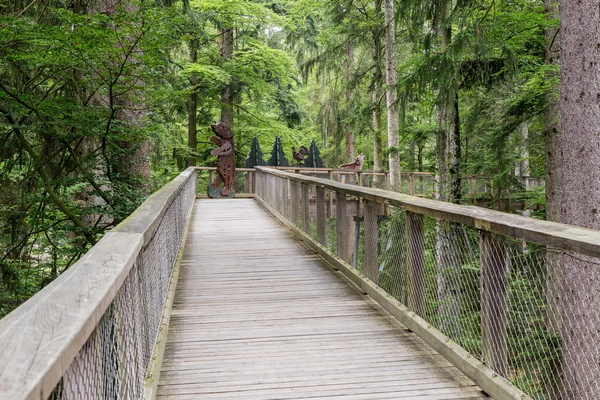 Neuschonau - midden in het Nationaal Park - Tree Top lopen — Stockfoto