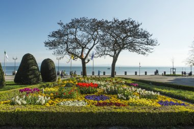 Flowering park at Lake Constance  clipart