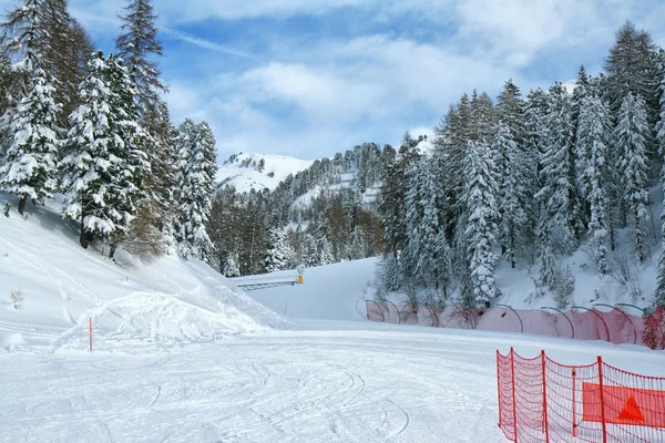 Ski sur les dolomites, Val di Fiemme, Italie — Photo