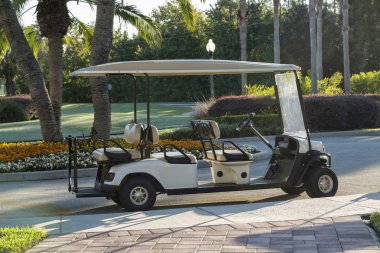 Empty golf cart sitting on a macadam path by a golf course, Flor clipart
