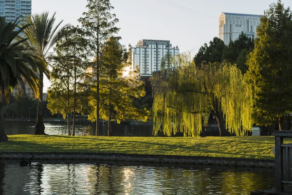 Gün batımı göl Eola üzerinde. Orlando göl Eola.Florida