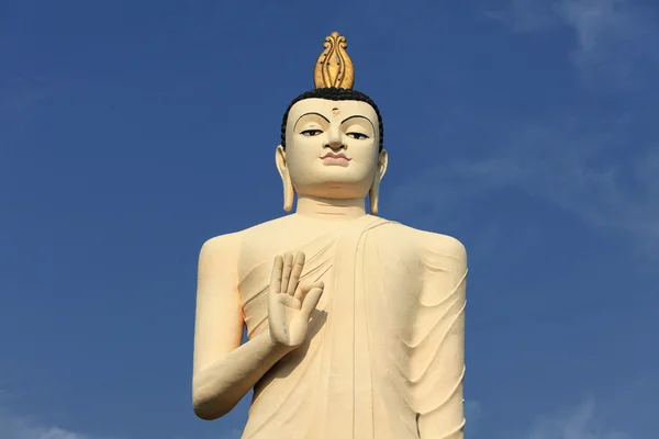 Самая высокая статуя Будды с золотыми статуями — стоковое фото