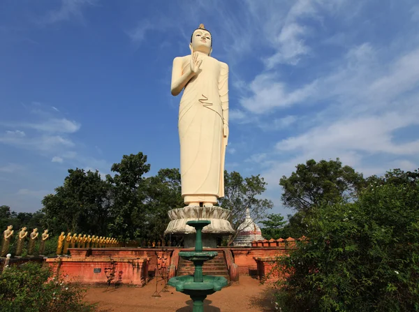 La plus haute statue de Bouddha avec des statues dorées — Photo