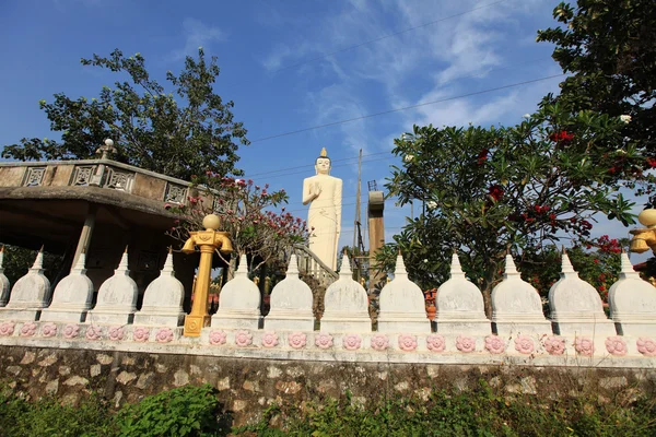 La plus haute statue de Bouddha avec des statues dorées — Photo