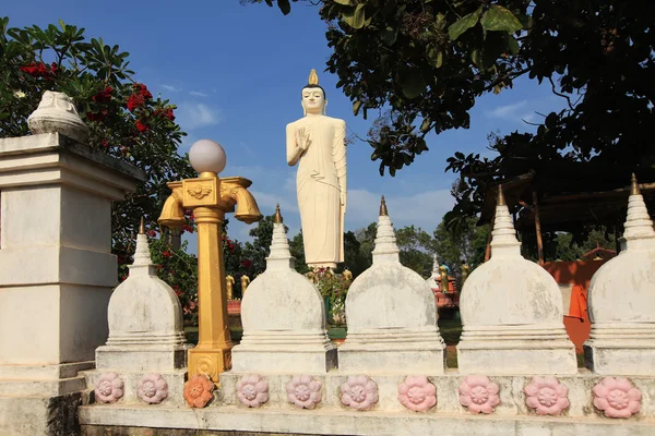 La plus haute statue de Bouddha avec des statues dorées — Photo