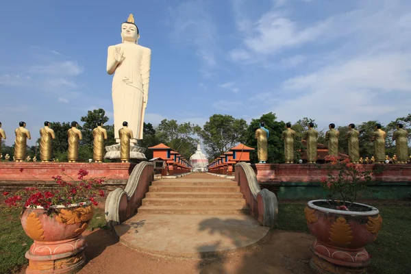 La statua più alta di Buddha con statue dorate di monaci nello Sri Lanka — Foto Stock