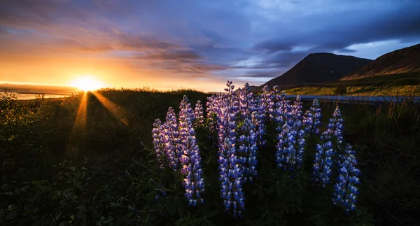 Kleurrijke sunrise landschap, Borgarbygd weergave, IJsland — Stockfoto