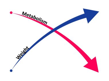 Metabolizmayı yavaşlat ve kilo al. Metabolizmanın kilo alma oranı. Vektör