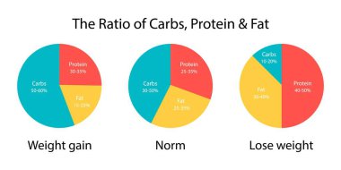 Kilo almak ve kilo vermek için karbonhidrat, yağ ve protein diyagramı oranı. Diyet planı simgesi. Vektör