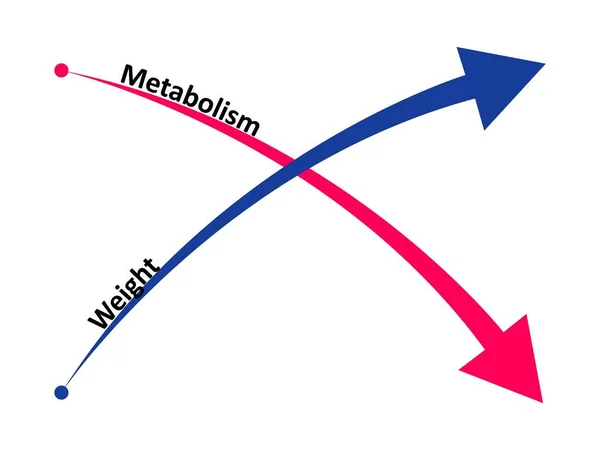 En cualquier momento Abuso Atravesar Metabolismo lento imágenes de stock de arte vectorial | Depositphotos En cualquier momento Abuso Atravesar Metabolismo lento imágenes de stock de arte vectorial | Depositphotos