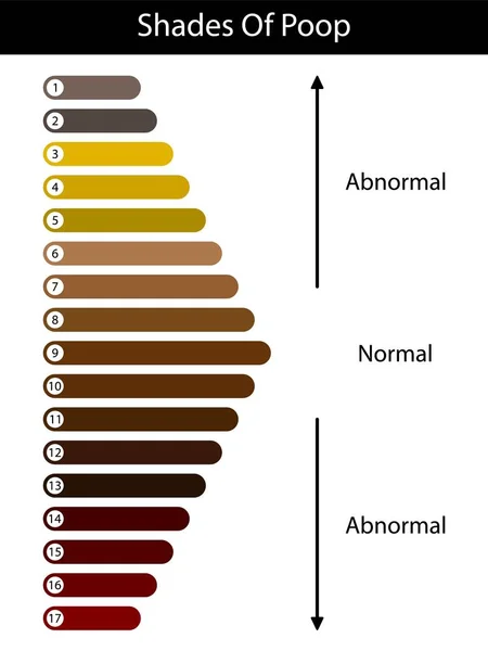 Nuances Couleur Caca Couleur Des Selles Humaines Concept Sain Échelle — Image vectorielle