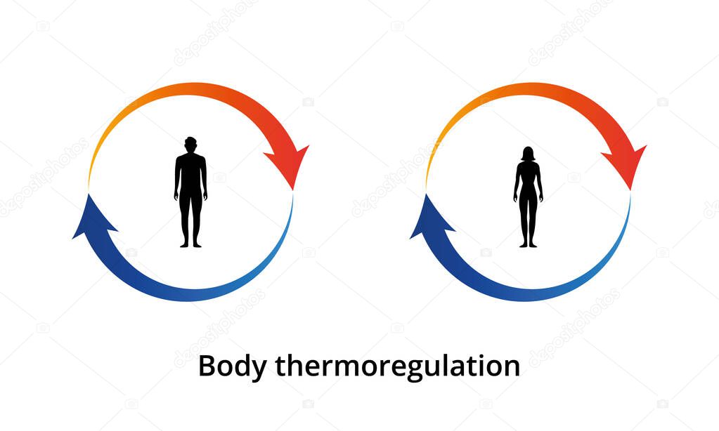 Body thermoregulation icon. Body heat retention. Human body silhouette. Vector illustration