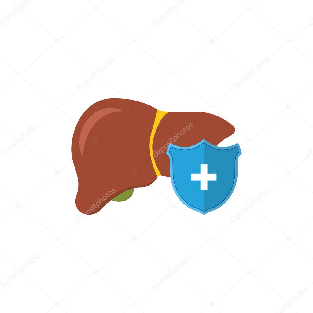Human liver under protection. Blue shield and healthy liver in cartoon style. Vector illustration
