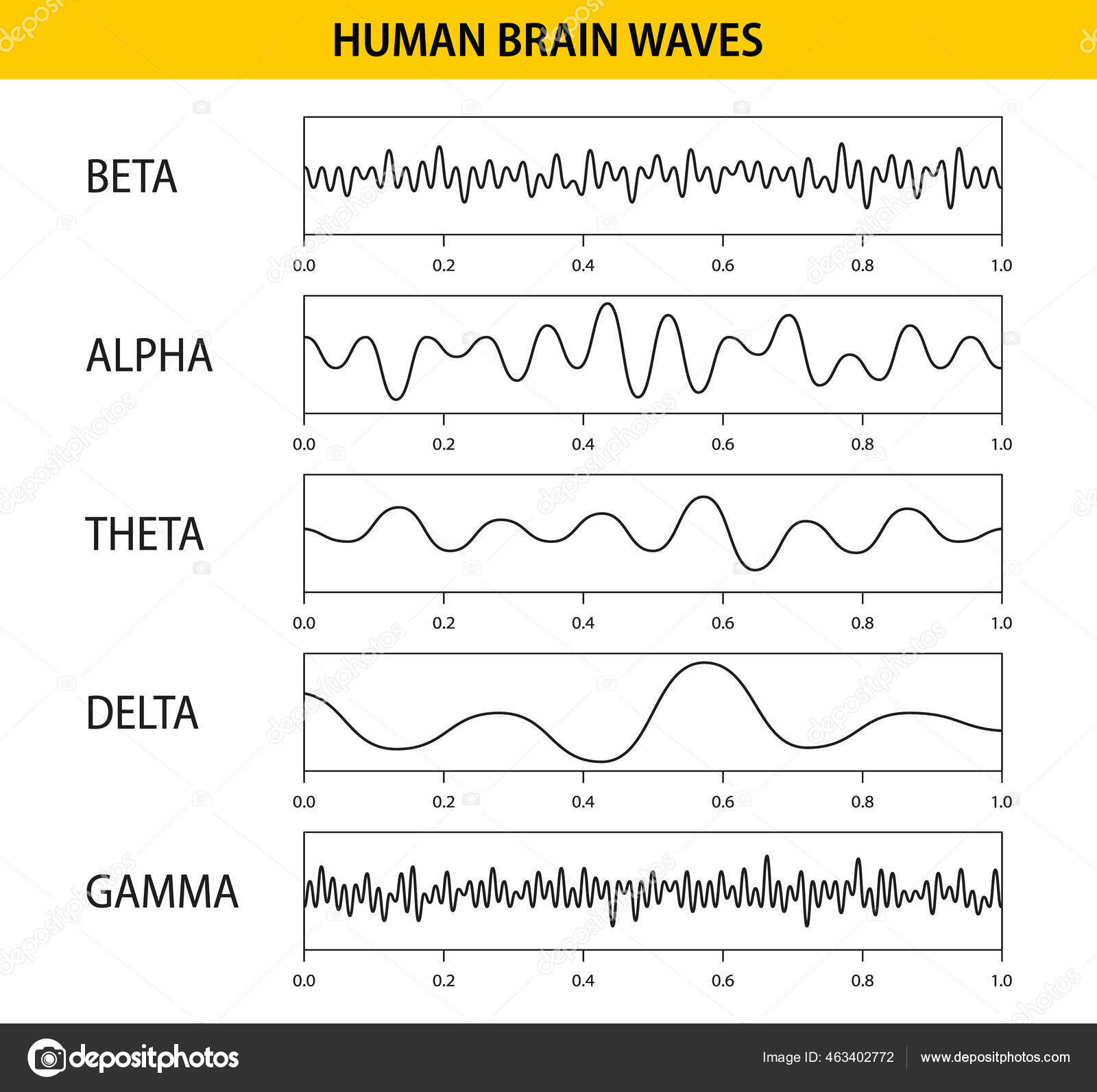 Beta, alpha, theta, delta, gamma brain waves. Set of brain waves ...