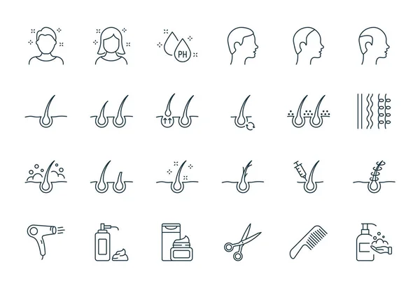 Behandlung und Problem der Haare. Haarpflege und Haarausfall Problem. Shampoo, Schuppen, Haarschnitt, Wachstum und Alopecia Line Icon. Friseurwerkzeuge Flache lineare Symbole. Essbarer Schlaganfall. Vektorillustration — Stockvektor